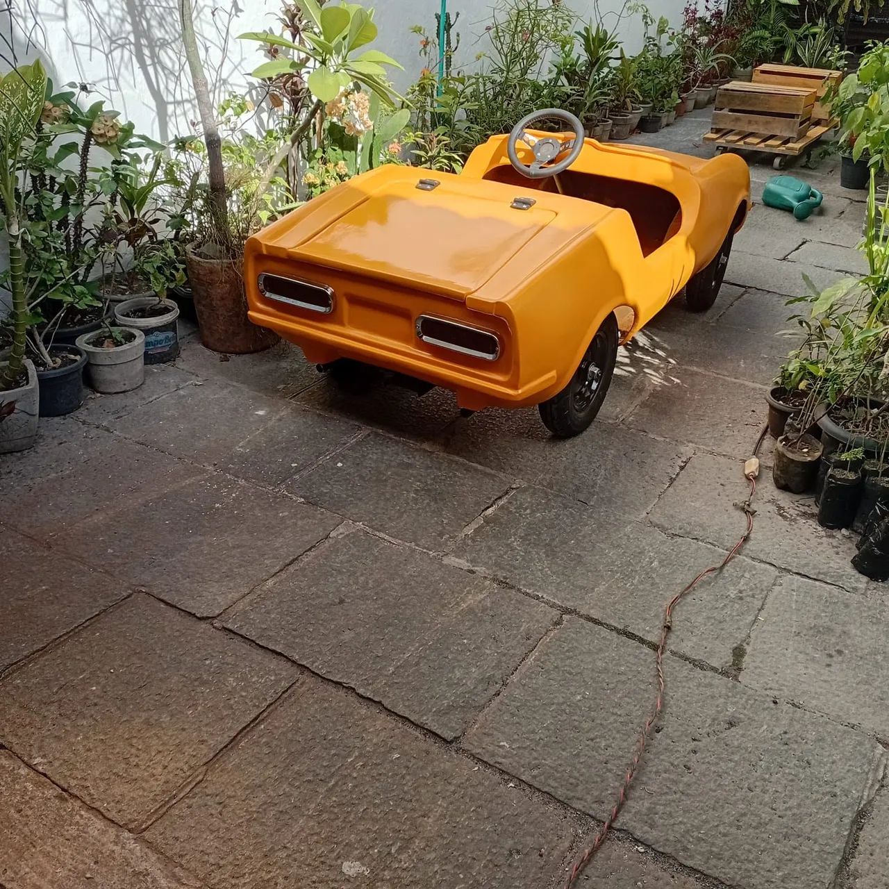 Mini puma  - Foto 2