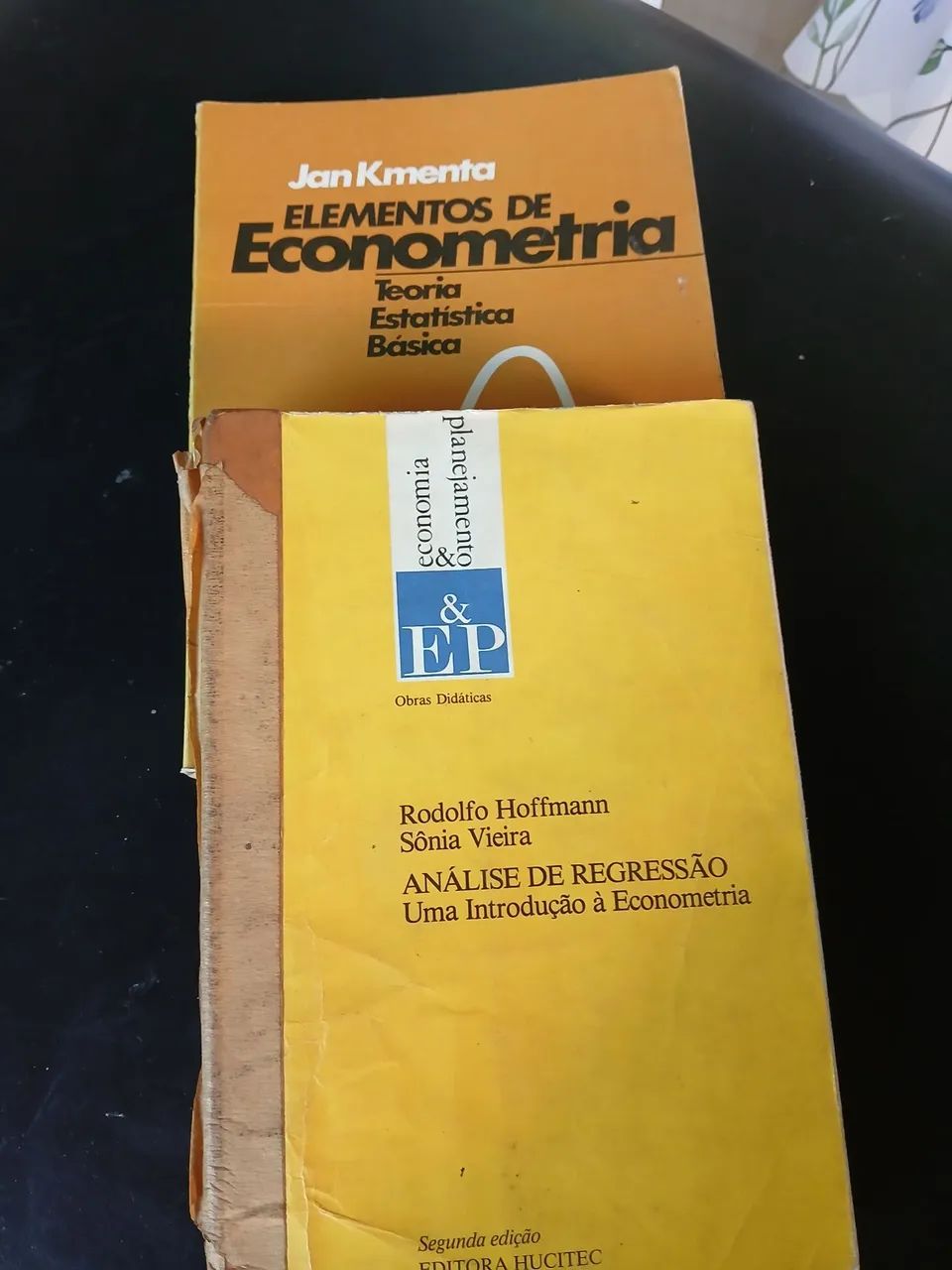Livros de econometria 