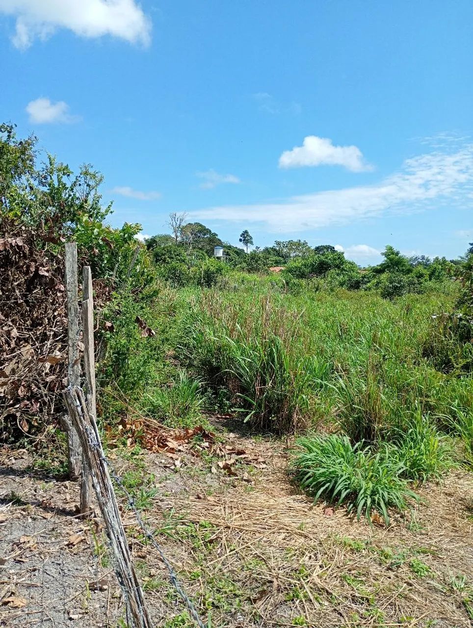 Terrenos a venda  - Foto 3