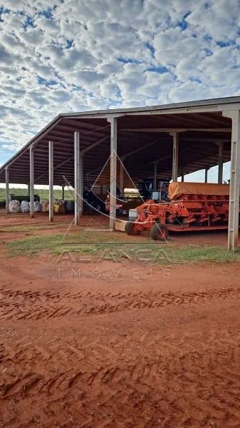 Fazenda - Santa Vitoria - Zona Rural - Foto 3