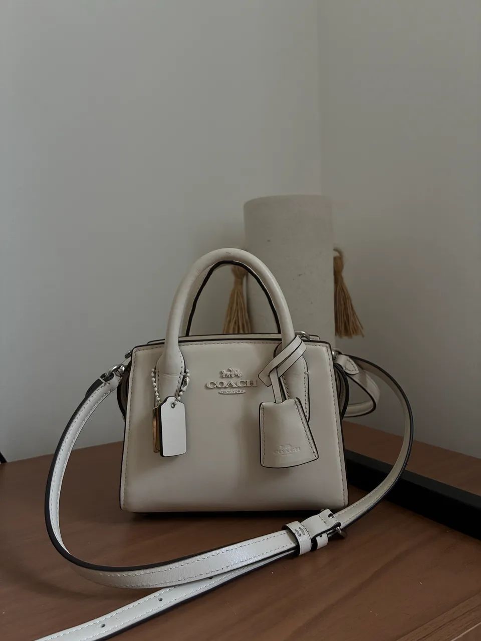 Coach Mini Andrea