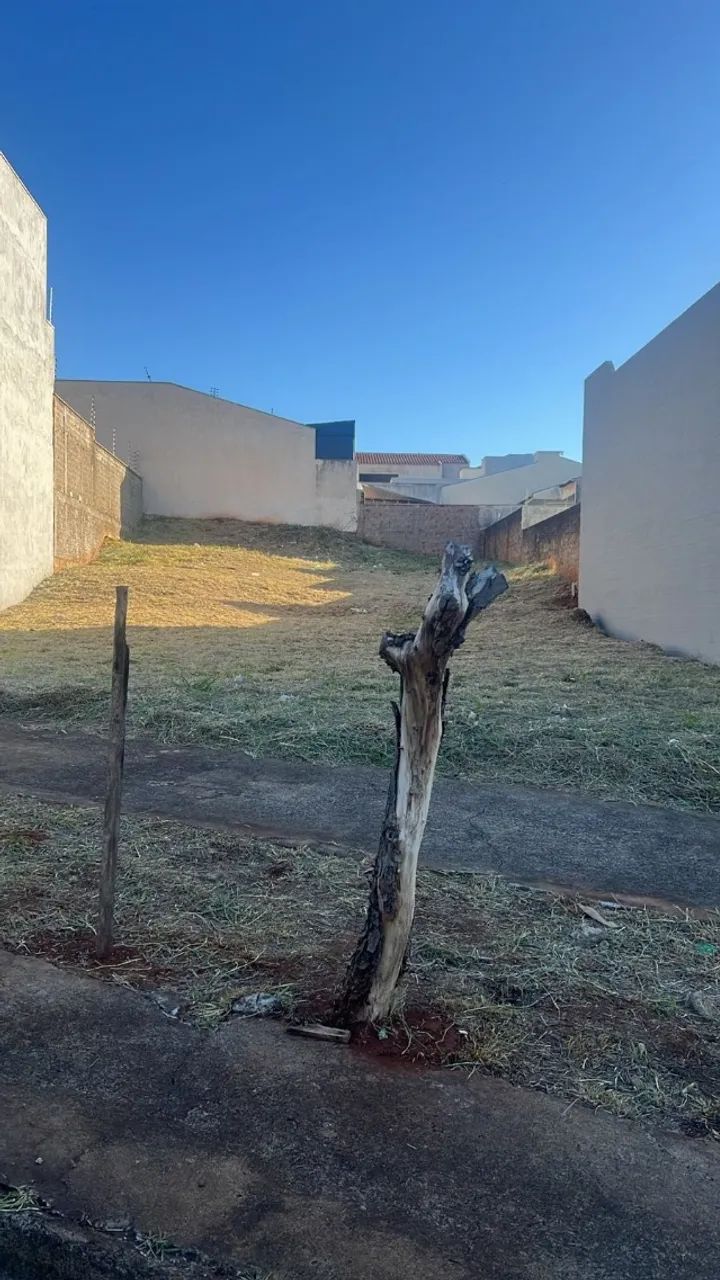 Terreno comercial no Jardim Dias Maringá  - Foto 5
