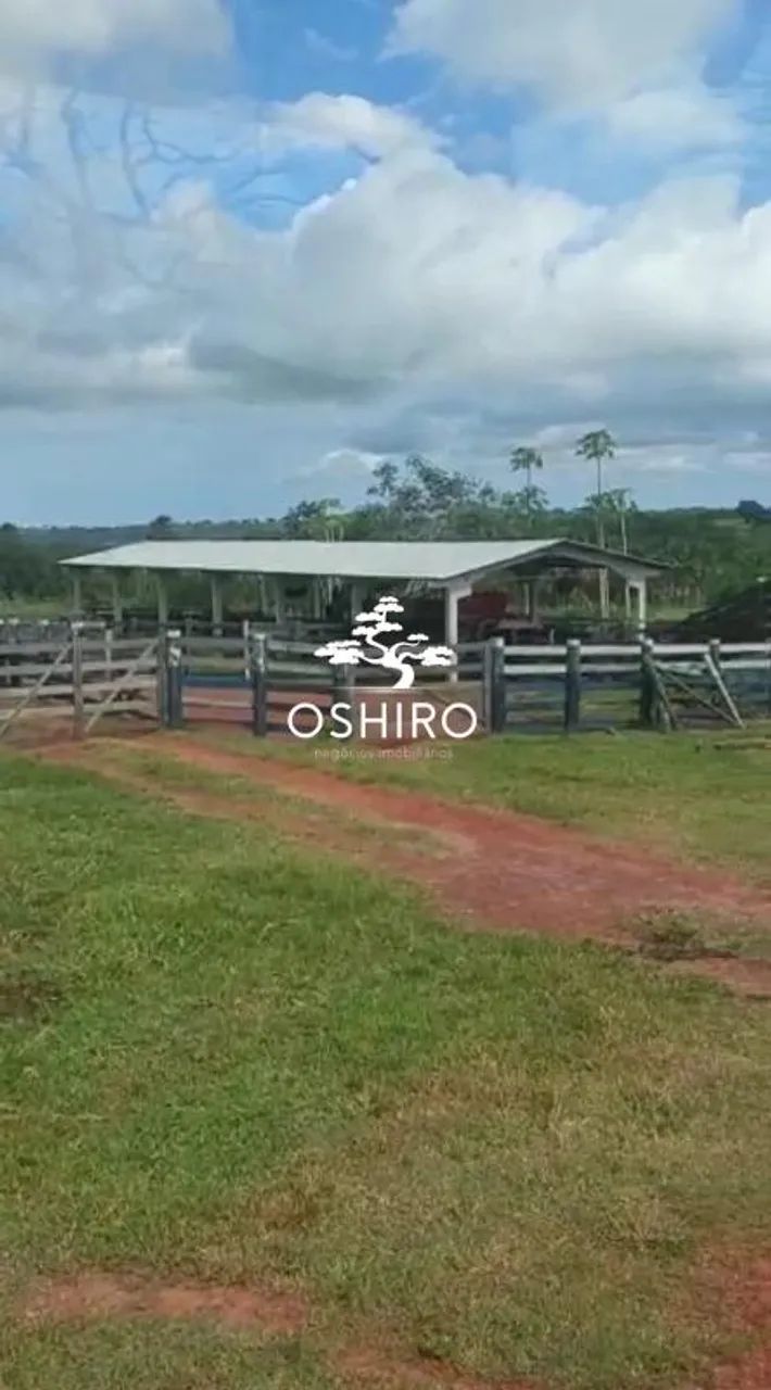 FAZ. DUPLA APTIDÃO EM TORIXORÉU -MT - NIL. CÓD. 15371 - Foto 2