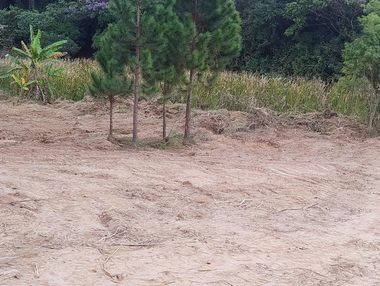 Terreno 2054,80m² bem localizado com tanque de peixe - Foto 4