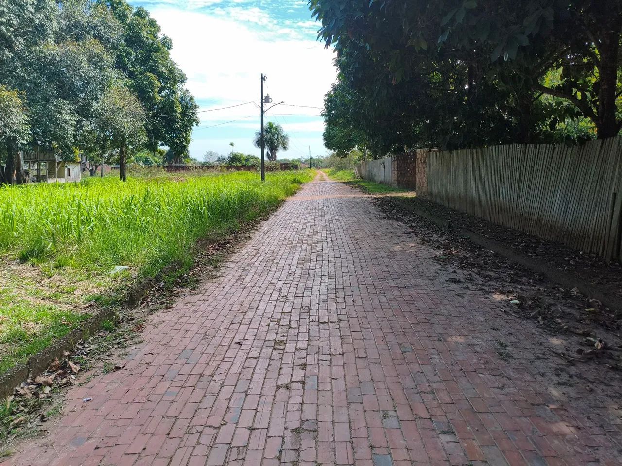 Terreno no Bom Jesus  - Foto 2