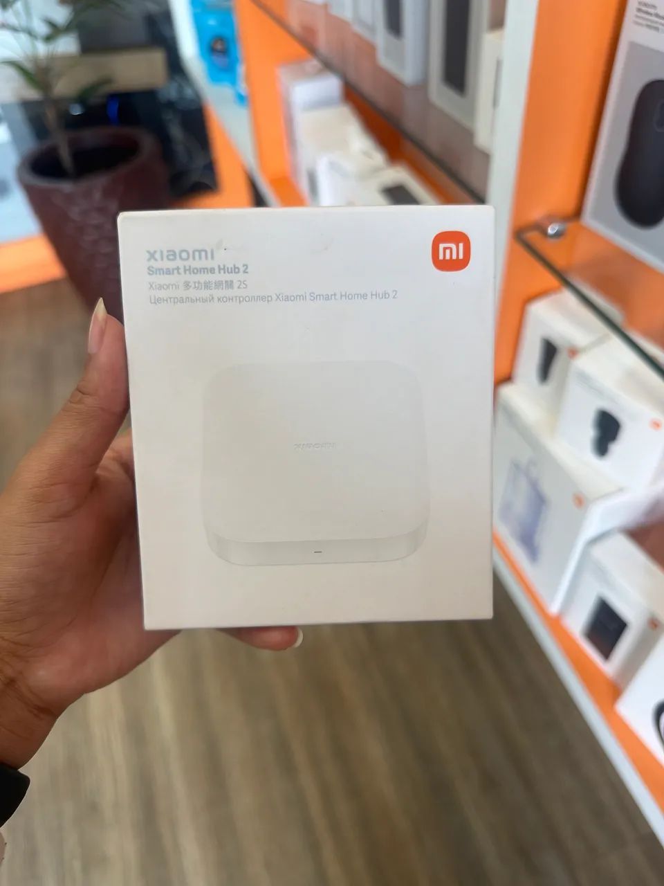 Xiaomi Smart Home Hub 2