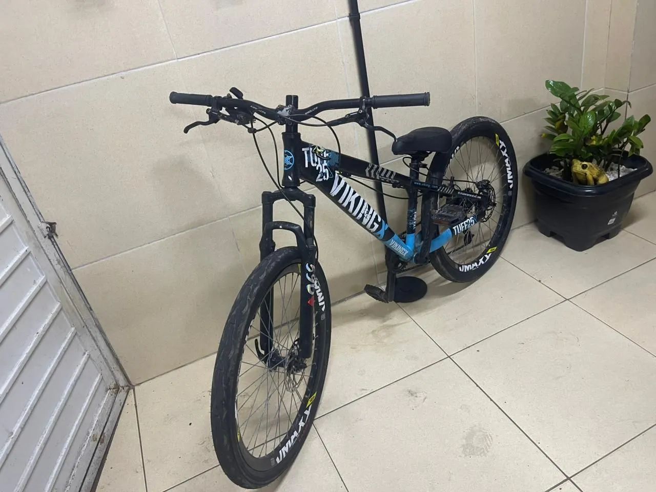 Vikingx toda preparada para o grau - Foto 3