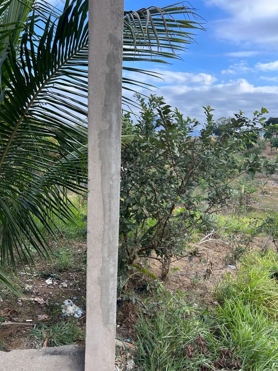 Chácara em Vila Merlo  - Foto 2