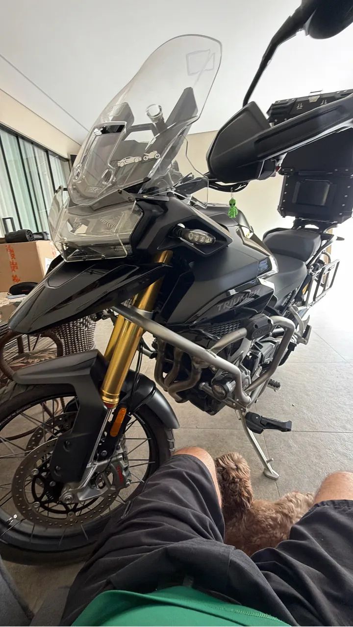 Tiger 1200 black editon 2024 - Foto 4