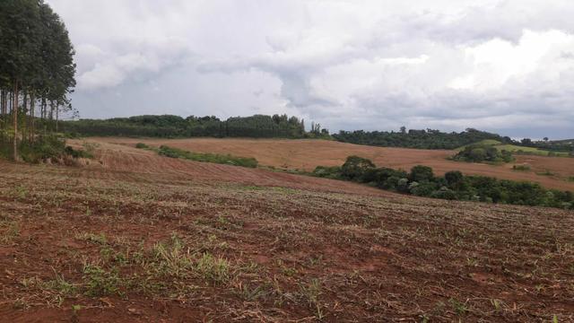 Fazenda Arrendamento 150 alq no Pr - Terrenos, sítios e 