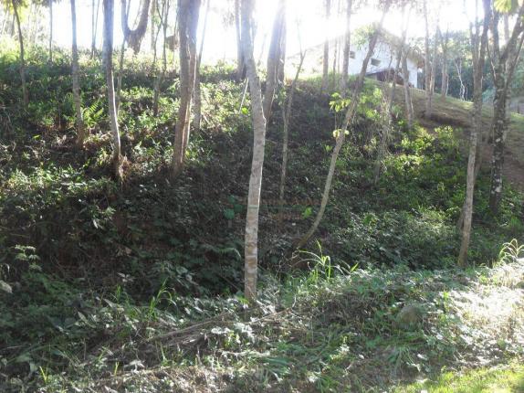 Terreno residencial à venda, Vargem Grande, Teresópolis. - Foto 17