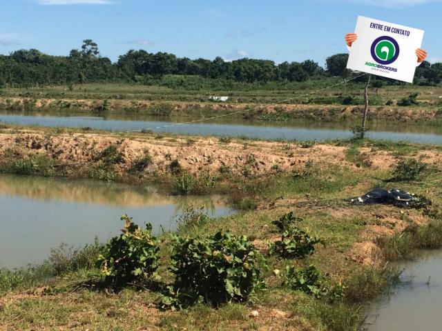 Fazenda com piscicultura ativa, próximo de nossa senhora do livramento - Foto 3
