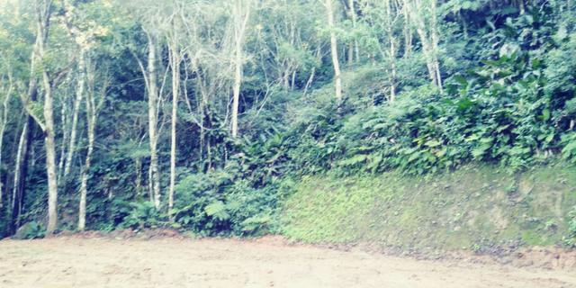 Chácara em Camboriú, local elevado, fácil acesso por Brusque, ideal para lazer - Foto 4