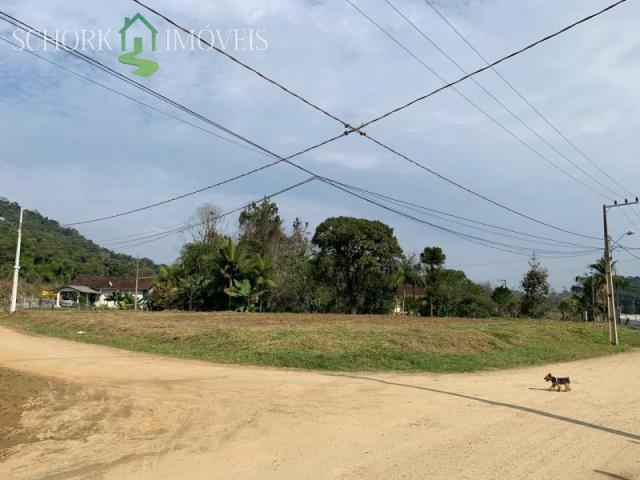 Terreno à venda em Fidélis, Blumenau cod:6311 - Foto 6