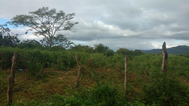 Excelente Propriedade em Belo Jardim, 7,5 hectares - Foto 17