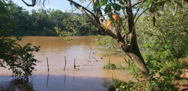 Fazenda 20 alqueires em São Jose Safira / MG - Foto 10