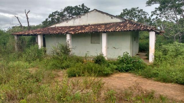 Excelente Propriedade em Belo Jardim, 7,5 hectares - Foto 6
