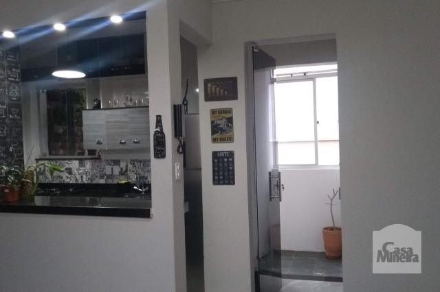 Apartamento à venda com 2 dormitórios em Alto barroca, Belo horizonte cod:257722 - Foto 14