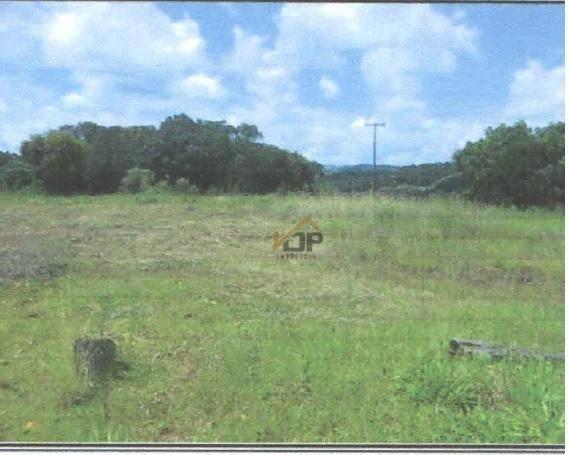 Terreno à venda, 8.100 m² por r$ 315.000 - vila bela - guarapuava/pr - Foto 2