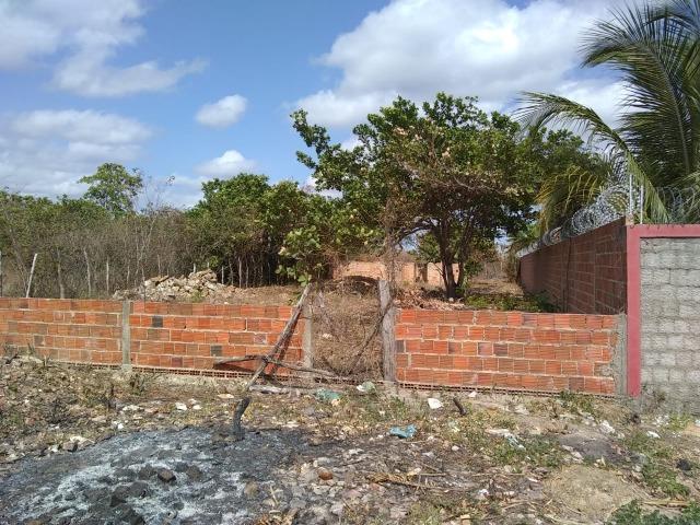 Terreno na baixa da carnaúba no km16 Parnaíba PI - Foto 5