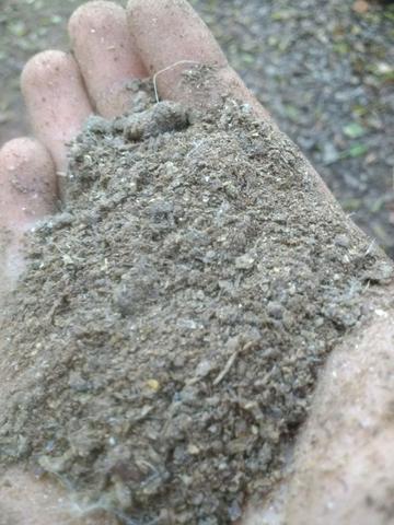 Cama de Frango / Adubo Orgânico / Esterco de Galinha / Adubo para Horta