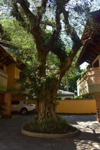 Casa de condomínio à venda com 3 dormitórios em Ipanema, Porto alegre cod:69166 - Foto 4