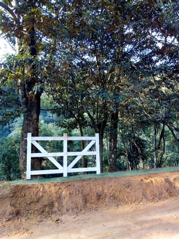 Centro de Marechal Floriano - Foto 6