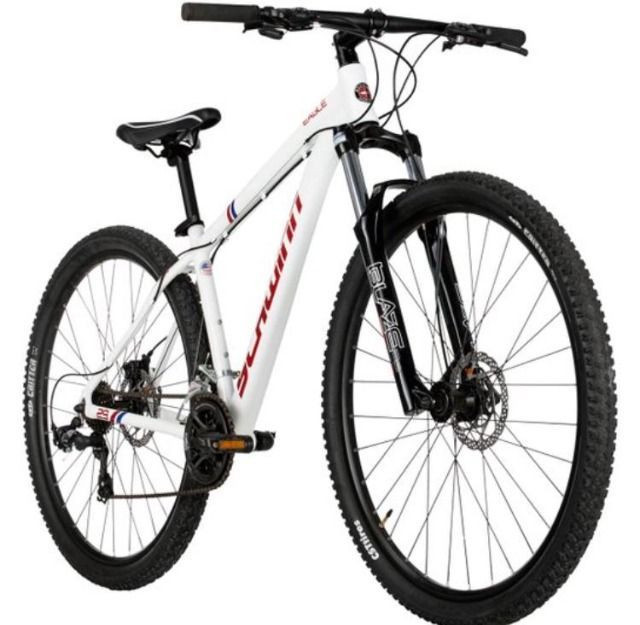 schwinn eagle