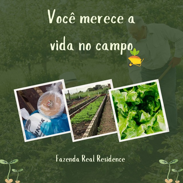 Lotes na Fazenda Real Macaiba - Foto 13