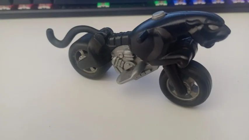 moto mulher gato