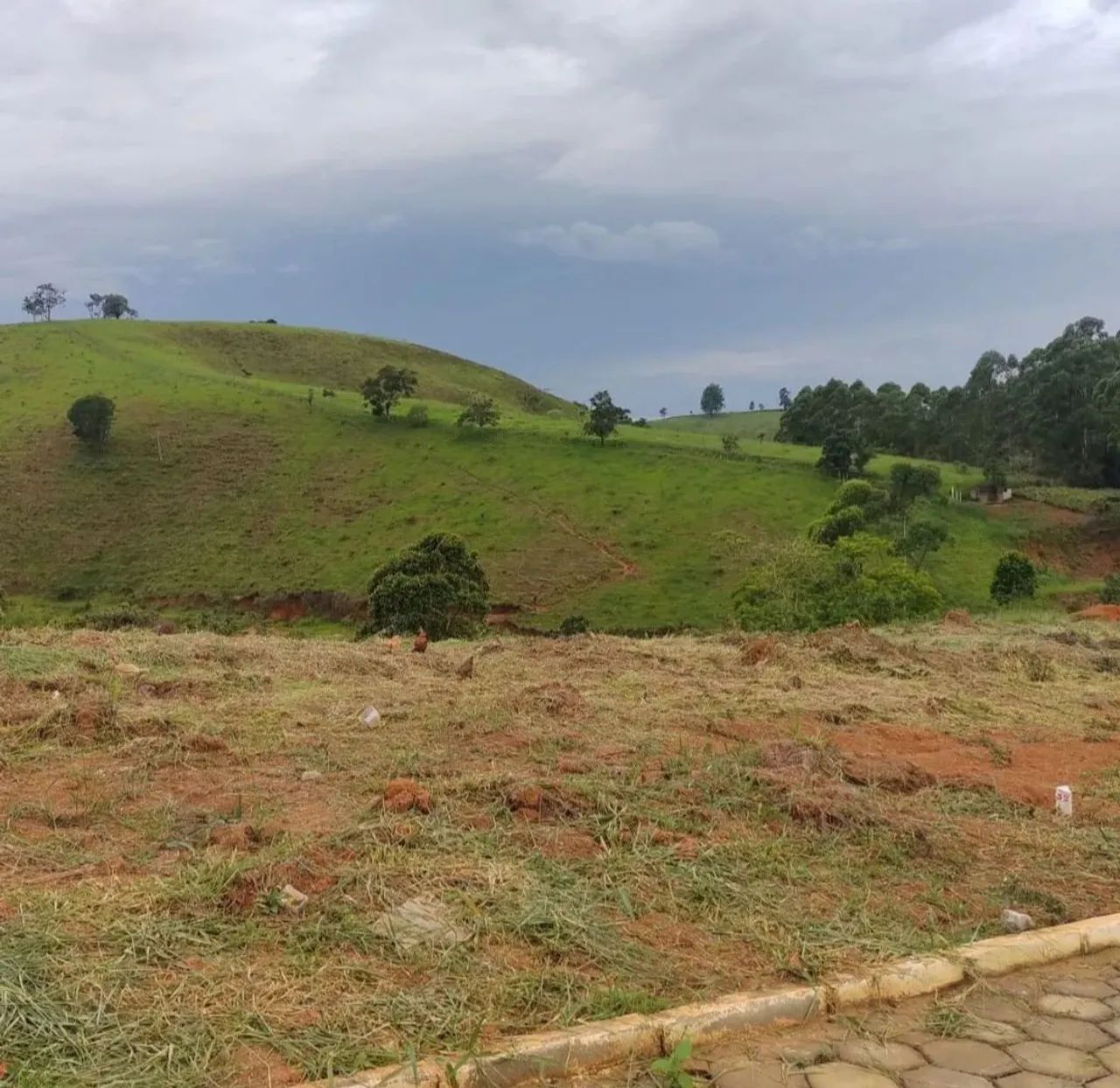 Lotes em Chácara - MG - Oportunidade (Prontos para construir) - Foto 4