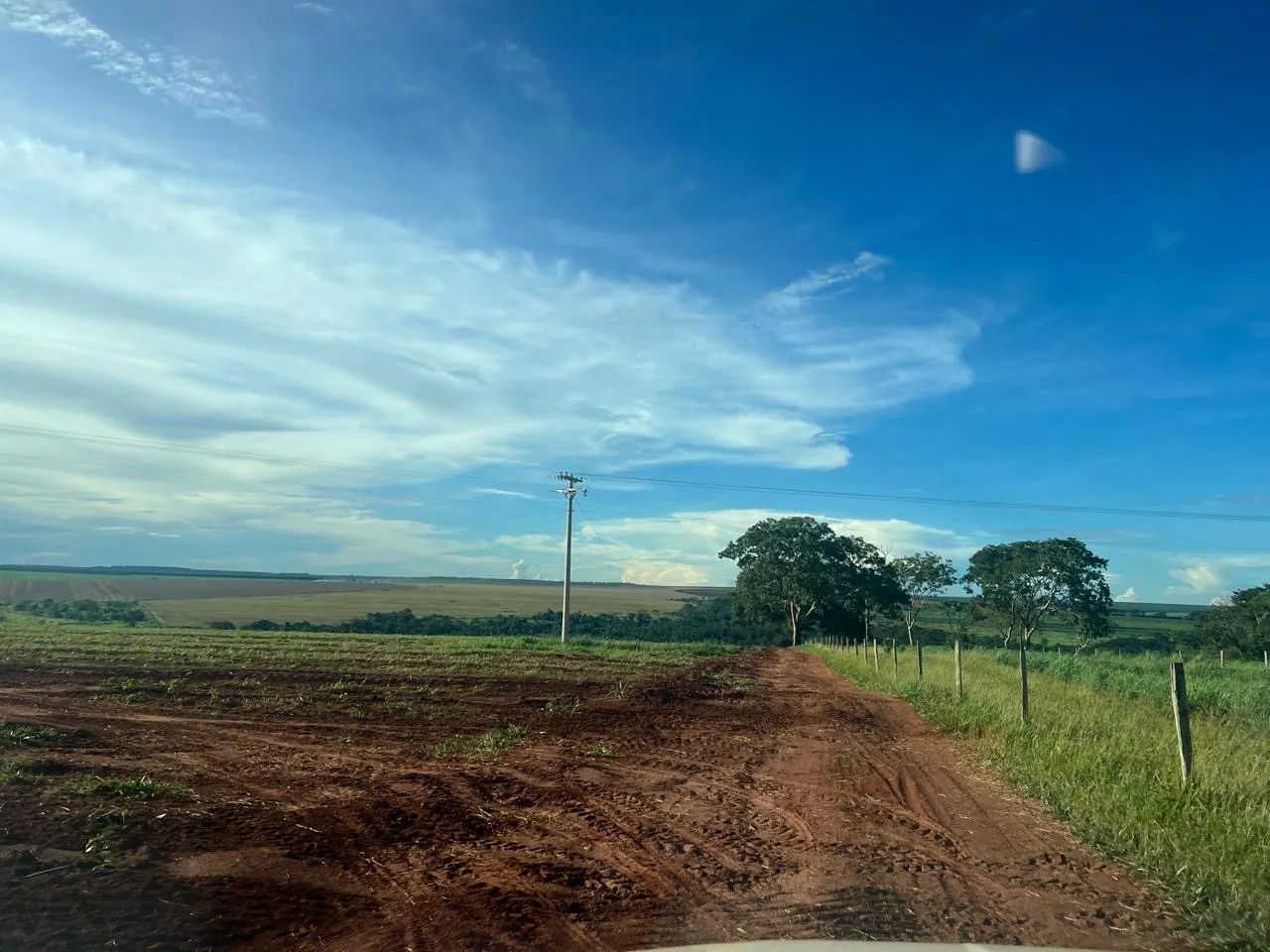 Fazenda de café próximo Uberlândia  - Foto 2