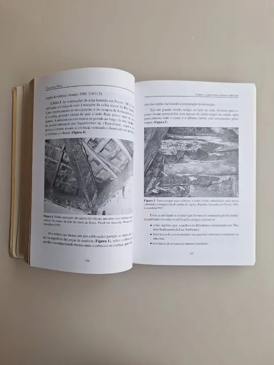 Cupins - O Desafio do Conhecimento - Foto 3