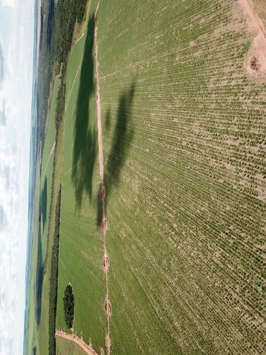 Linda FazenDa em Chapadao