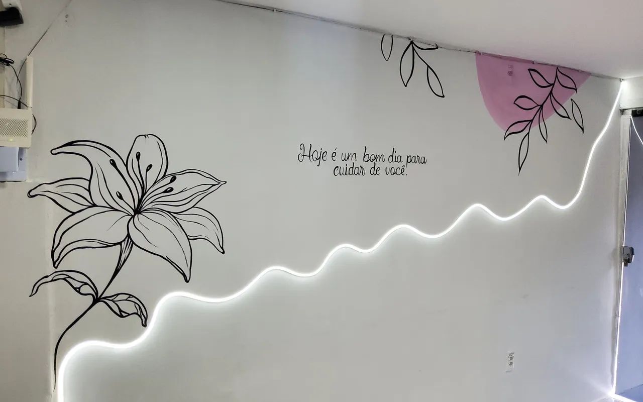 Pinturas em paredes/decoraç?o - Foto 3