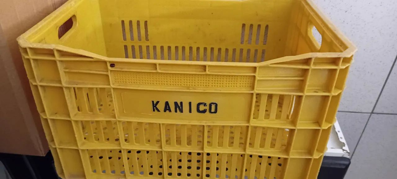 Caixa de Plástico Amarela - Kanico - Foto 3