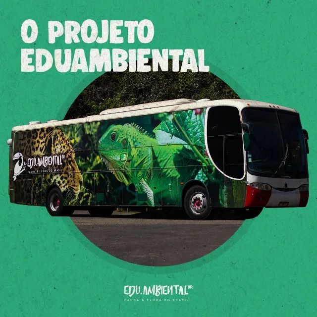 Ônibus Museu Ambiental + Acervo Zoológico - Projeto Educacional Completo - Foto 2