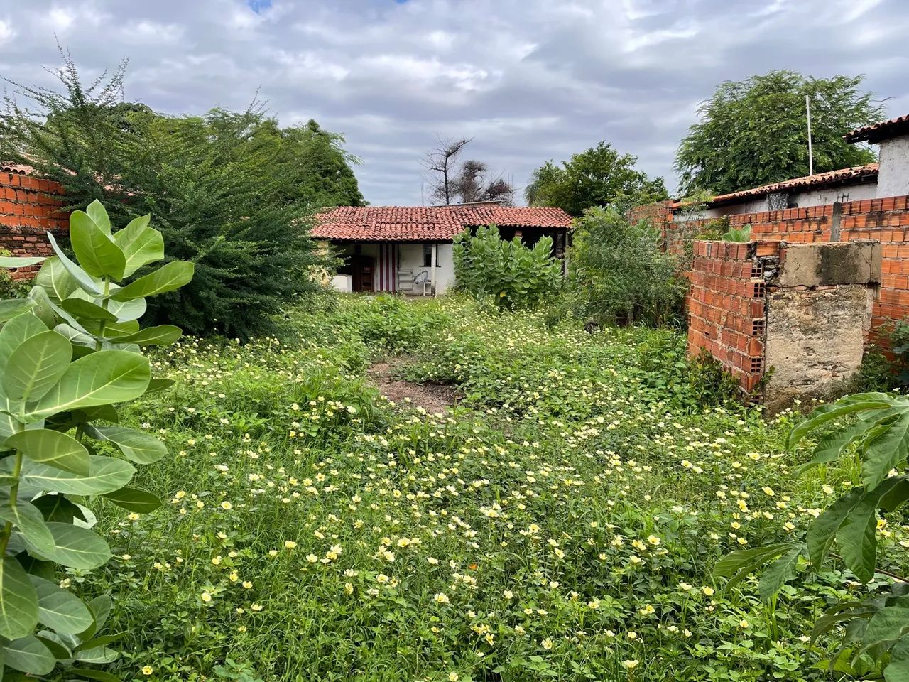 Terreno próximo a Miguel Rosa - Foto 2