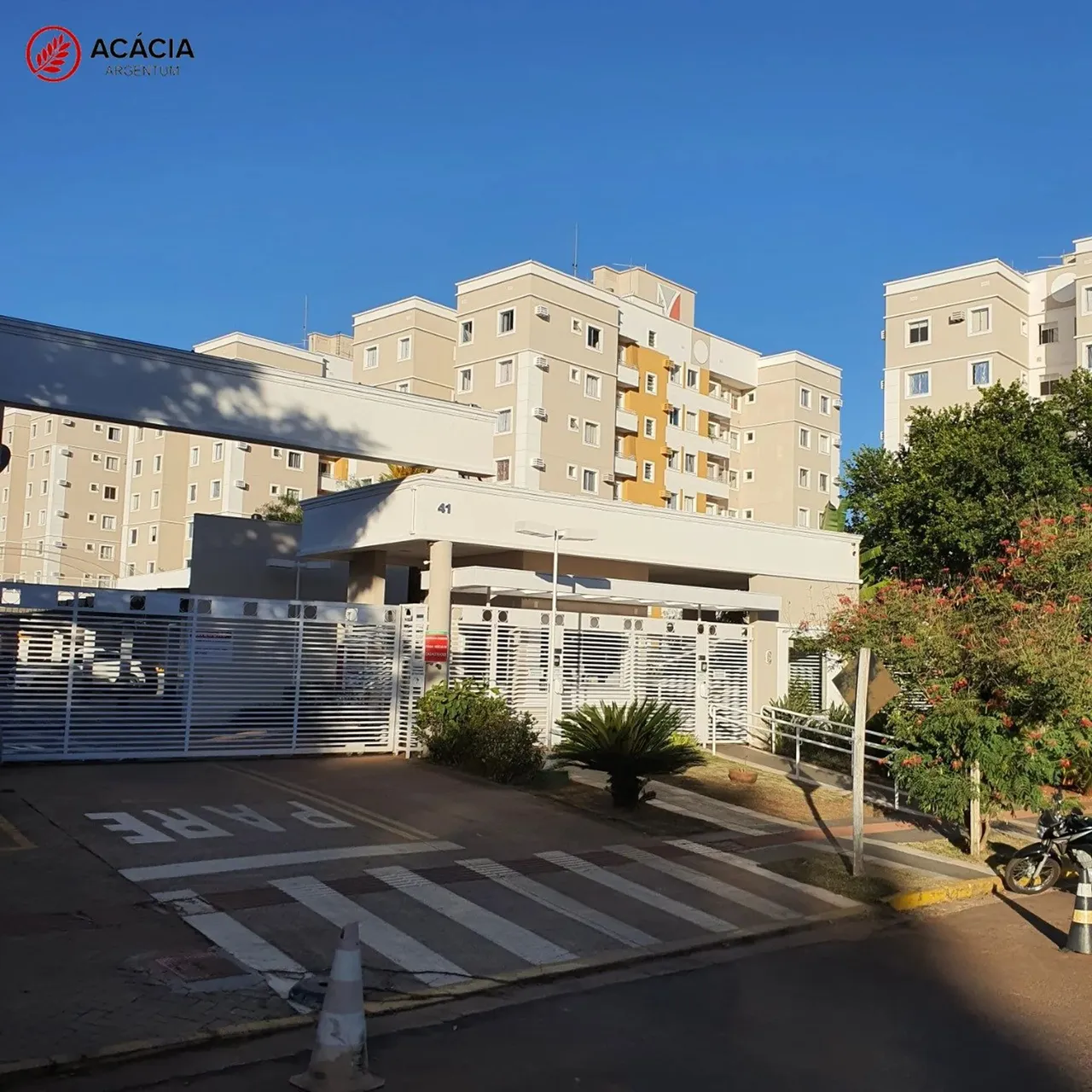 CAMPO GRANDE - Apartamento Padrão - Vila Albuquerque