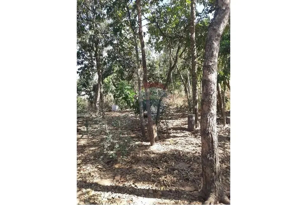 CHACÁRA EM PRIMAVERA DO LESTE