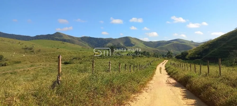 FAZENDA GADO DE CORTE A PASTO OU CONFINADO AREIAS SP