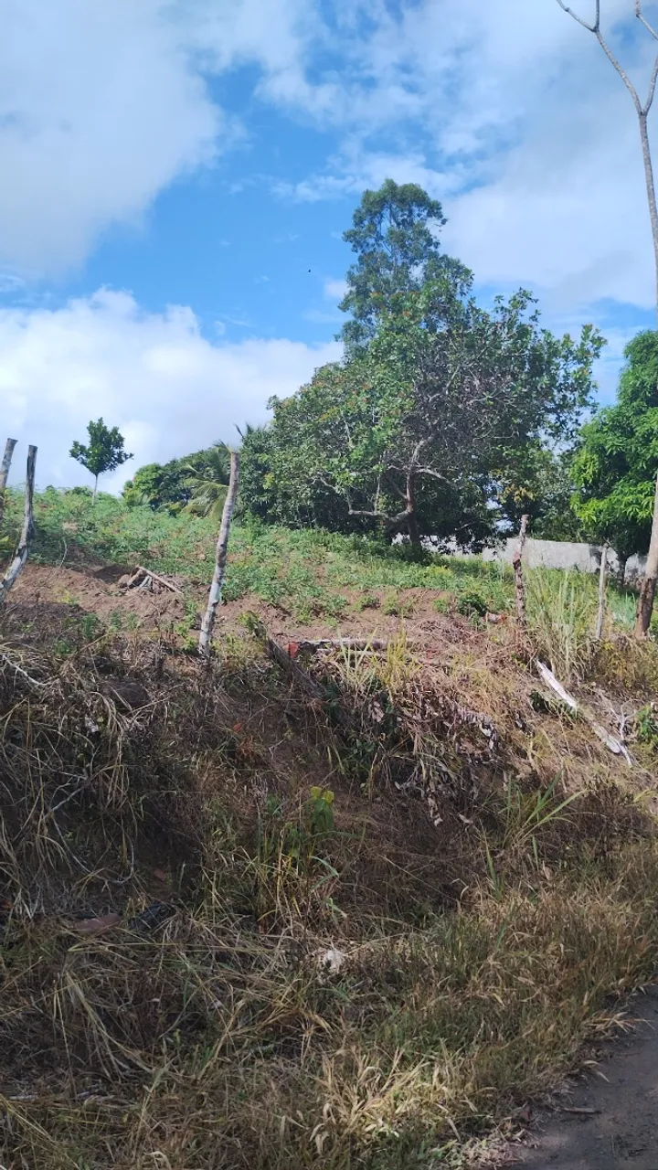 Chácara rural
