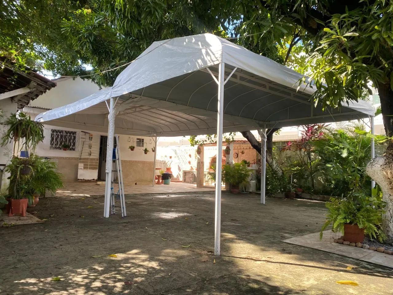 Toldo 6x4 modelo romano - Foto 2