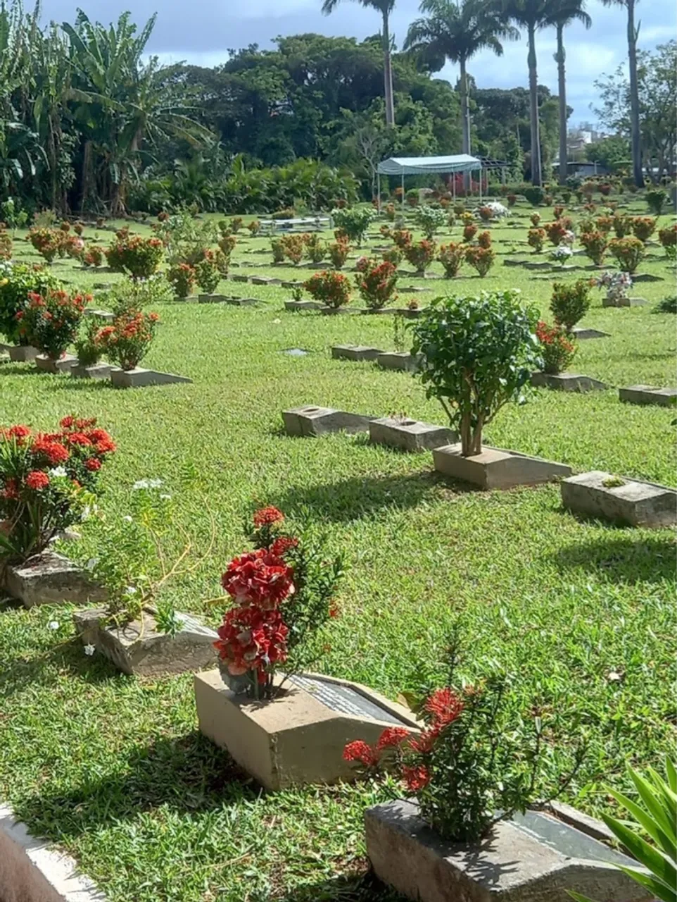 Jazigo terreno Cemitério Jardim da Saudade - Salvador -BA
