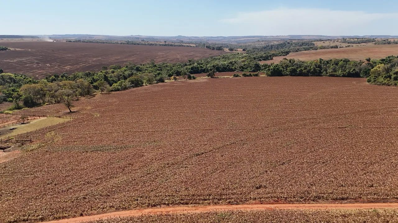 Fazenda px Anápolis  - Foto 3