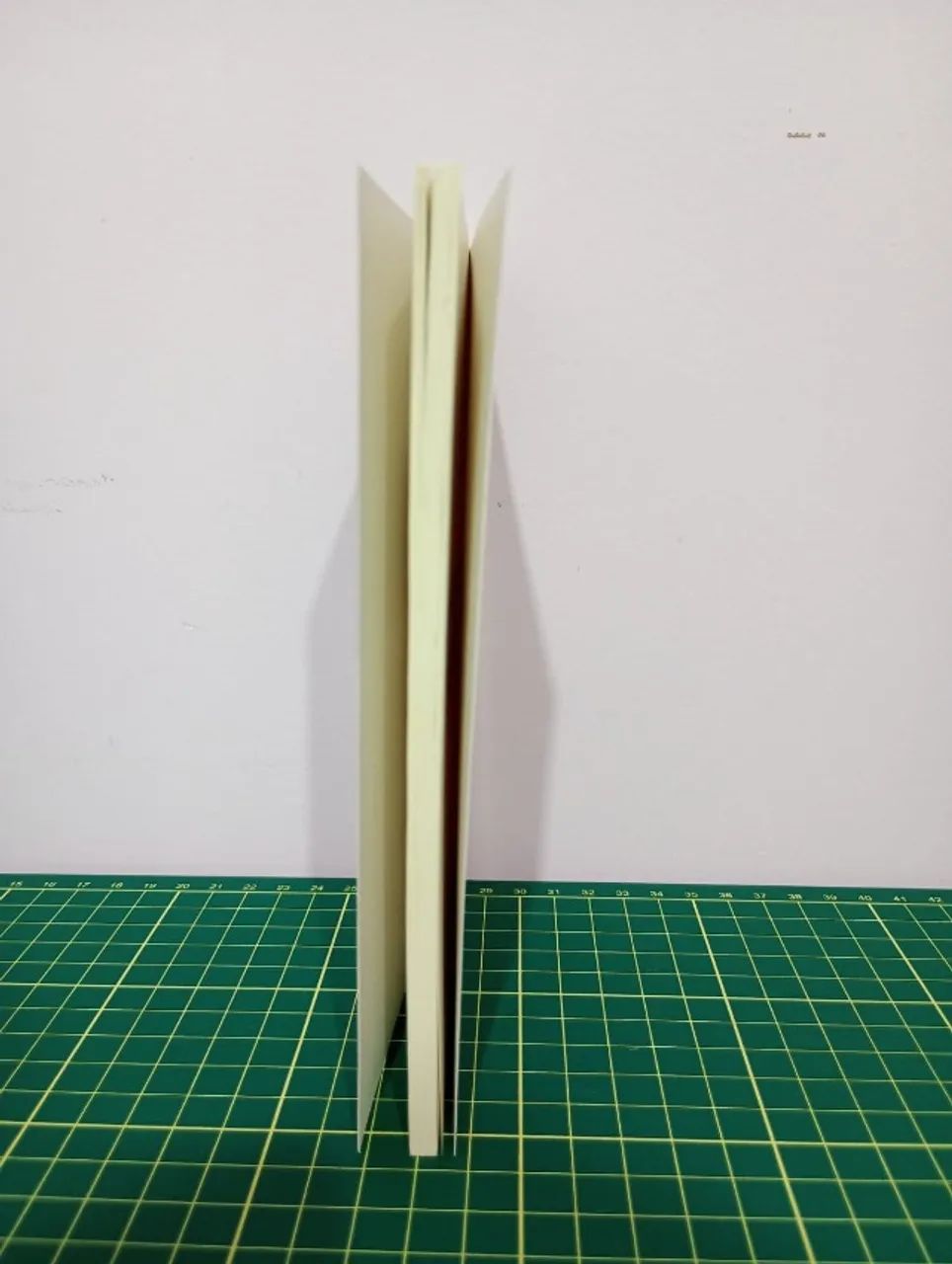 Livro Sonhos de Einstein  - Foto 4