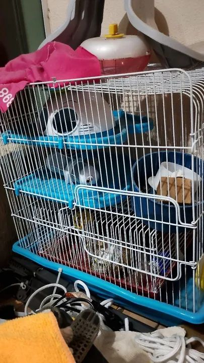 Gaiola para roedores grande com acessórios