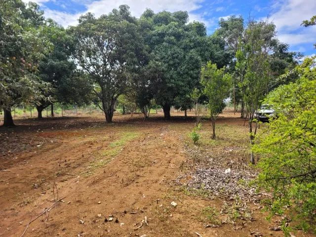 2,5 hectares Padre Lúcio Águas lindas  - Foto 5