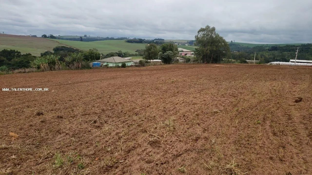 Área Rural para Venda em Faxinal