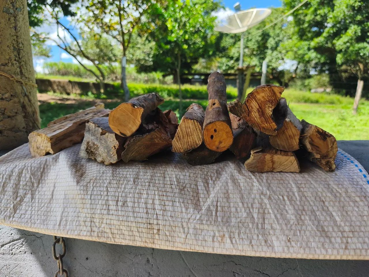 Lenha Frutífera de Jaboticaba para churrasco, defumação e parrilha - Foto 5